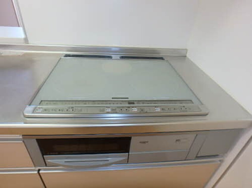  吉備線<桃太郎線>/東総社駅 徒歩16分 1階 築14年