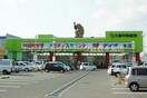 ディオ本店 982m 水島臨海鉄道水島本線/西富井駅 徒歩16分 3階 築2年