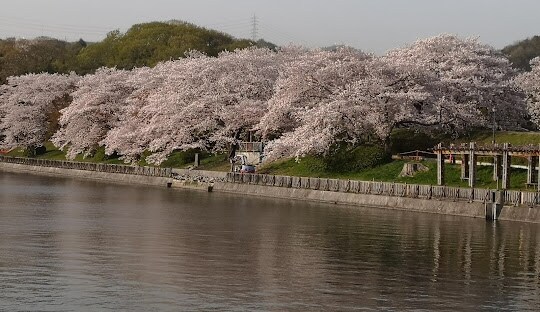 酒津公園(公園)まで869m 山陽本線（中国）/倉敷駅 徒歩24分 1階 築17年