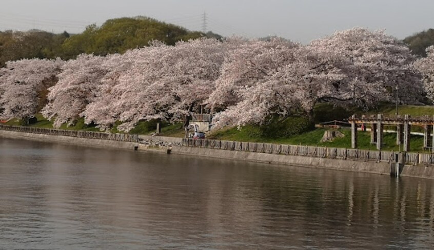 酒津公園(公園)まで869m 山陽本線（中国）/倉敷駅 徒歩24分 2階 築17年