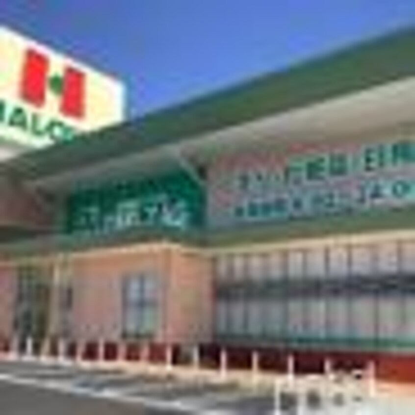 ザグザグハローズモール玉島店(ドラッグストア)まで776m 山陽本線（中国）/新倉敷駅 徒歩15分 5階 築29年