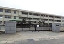 倉敷市立福田中学校(中学校/中等教育学校)まで128m 水島臨海鉄道水島本線/栄駅 徒歩22分 2階 築35年