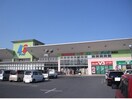 ディオ真備店まで1300m 井原鉄道井原線/川辺宿駅 徒歩21分 2階 築13年