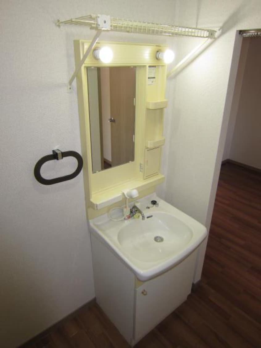 洗面所 山陽本線（中国）/新倉敷駅 徒歩55分 2階 築30年