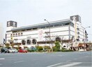  山陽本線（中国）/倉敷駅 徒歩10分 2階 築31年