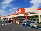 ザ・ビッグ 笠岡店(スーパー)まで1500m 山陽本線（中国）/笠岡駅 徒歩41分 2階 築28年