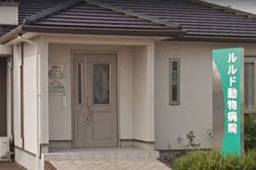 ルルド動物病院(病院)まで165m 山陽本線（中国）/西阿知駅 徒歩20分 3階 築9年