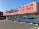 スーパードラッグひまわり 新倉敷店(ドラッグストア)まで259m 山陽本線（中国）/新倉敷駅 徒歩15分 8階 築29年