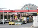 ナンバ倉敷店 3311m 水島臨海鉄道水島本線/弥生駅 徒歩24分 1階 築24年