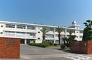 岡山県立水島工業高校(高等学校/高等専門学校)まで1011m 山陽本線（中国）/西阿知駅 徒歩19分 2階 築40年