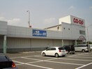 コープ大福店（スーパー）まで2,500ｍ アルカディア