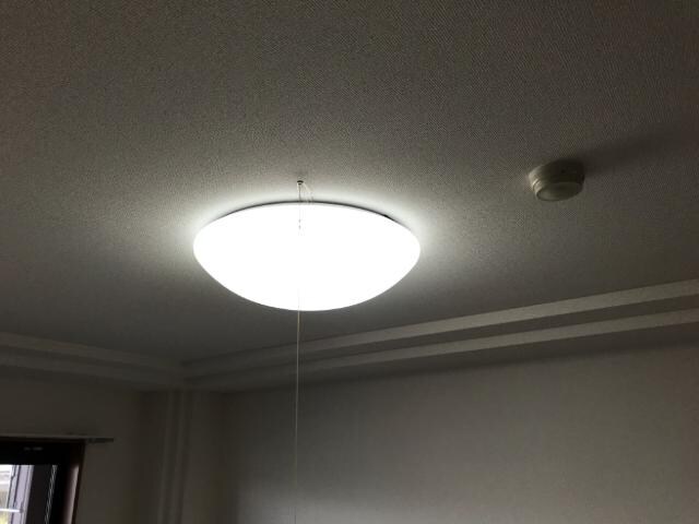 照明 カントリードール