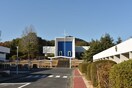 私立清心中学校(中学校/中等教育学校)まで761m グレースタワー