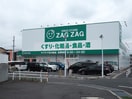 ザグザグ花の街店 248m メゾンナガヤマA