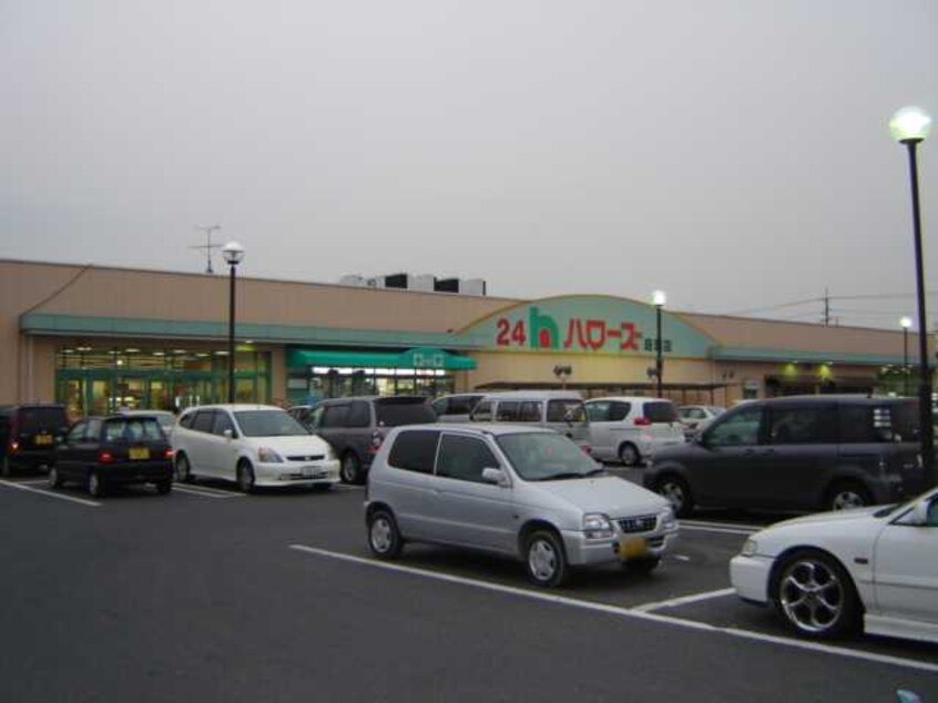 ハローズ庭瀬店（スーパー）まで80ｍ グランパレス・Ｋ