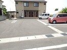  シンシアナガセ