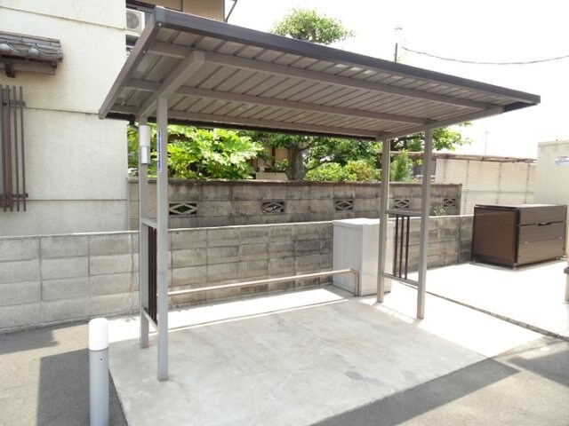  シンシアナガセ