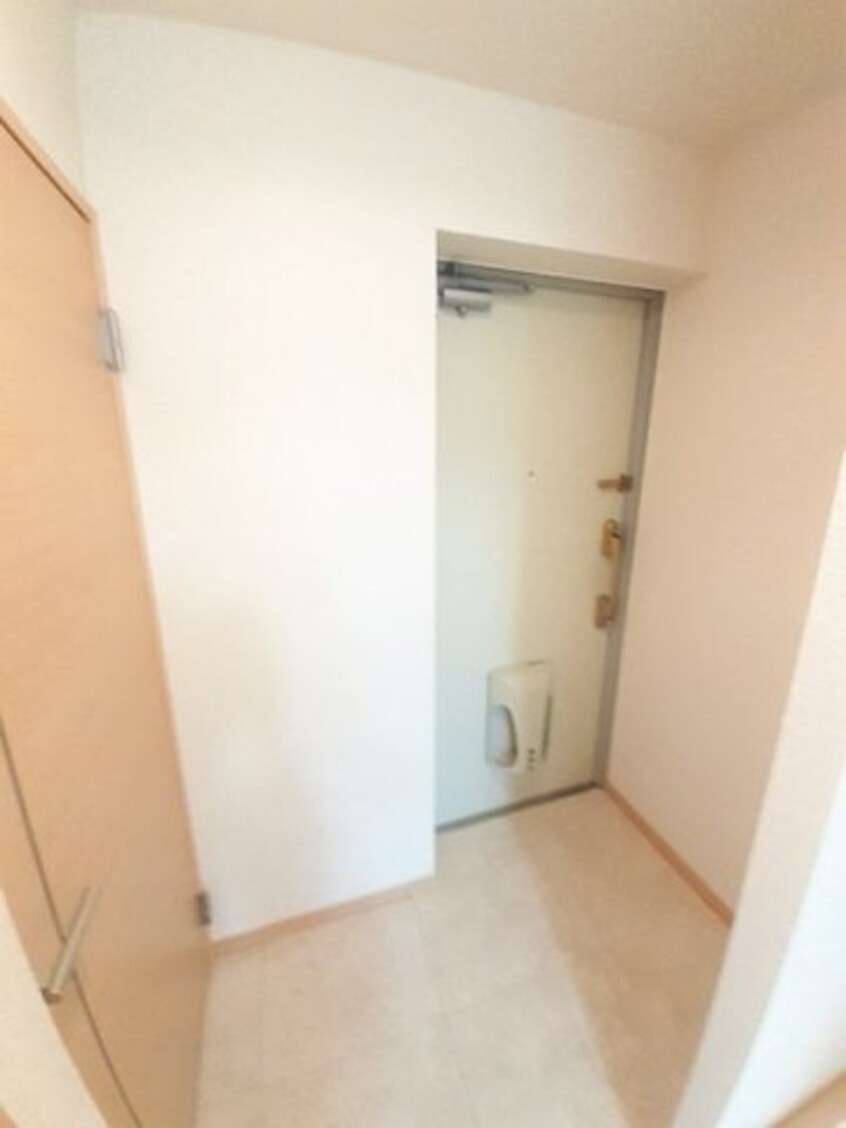  グレイスＫＩＫＫＡＷＡ