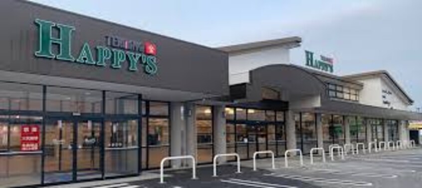 天満屋ハピーズ総社溝口店(スーパー)まで1231m CL井尻野戸建