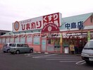 スーパードラッグひまわり中島店 852m ソレジオ中島　B棟