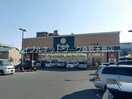 スーパードラッグひまわり茶屋町店 432m CASA茶屋町