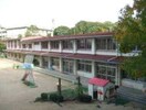 倉敷市立旭丘幼稚園(幼稚園/保育園)まで1534m セゾンしおひⅡ