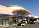 マルナカ児島店(ドラッグストア)まで241m 瀬戸大橋線/児島駅 徒歩7分 4階 築34年