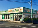 ベクトル 老松店(ディスカウントショップ)まで495m グランメリー安江