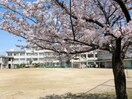 倉敷市立北中学校(中学校/中等教育学校)まで917m ルミエール