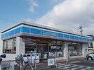 ローソン 福田店まで110m ハナミズキ　Ｂ