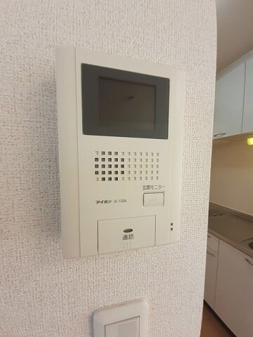  ハナミズキ　Ｂ
