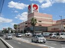 マルナカマスカット店まで1300m ル　レーヴＡ