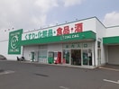 ザグザグ早島店まで1400m サンライズ　オアシスＢ