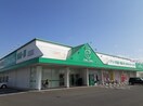 ザグザグ白石店まで800m 山陽本線（中国）/庭瀬駅 徒歩22分 3階 築19年