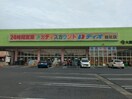 ディオ 総社店(ディスカウントショップ)まで703m 総社Sフラッツ　G棟