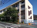 倉敷市立庄小学校(小学校)まで1406m エルフィーネ撫川