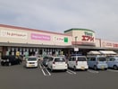 エブリイ茶屋町店まで750m ニュー・エンブレムＢ
