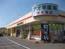 アオキ薬局(ドラッグストア)まで1206m アメニティーハイツ