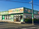 ベクトル 老松店(ディスカウントショップ)まで1012m パレス・クレア