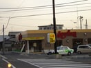 ジョイフル水江店（ファミリーレストラン）まで550ｍ サンライズ