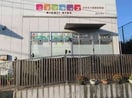 ニチイキッズ みずえ小規模保育園(幼稚園/保育園)まで233m サンライズ