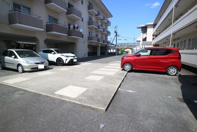  サンライズブルー