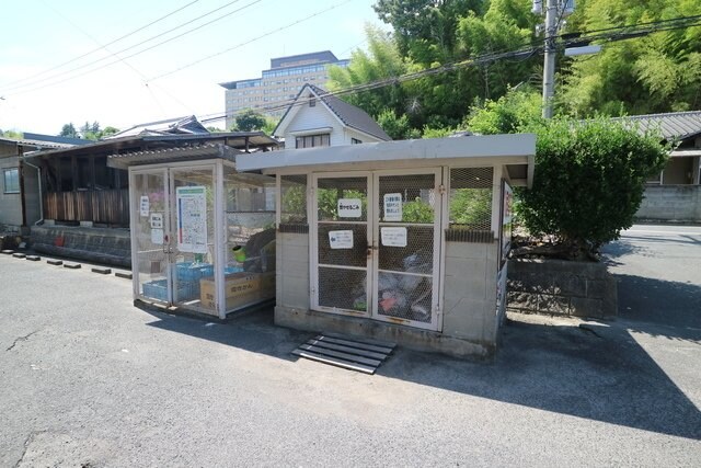  サンライズブルー