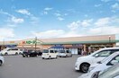 ハローズ 庭瀬店(スーパー)まで671m パステル庭瀬　Ｂ棟