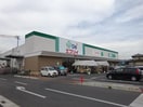 業務スーパーエブリイ西阿知店まで123ｍ ベルソルト