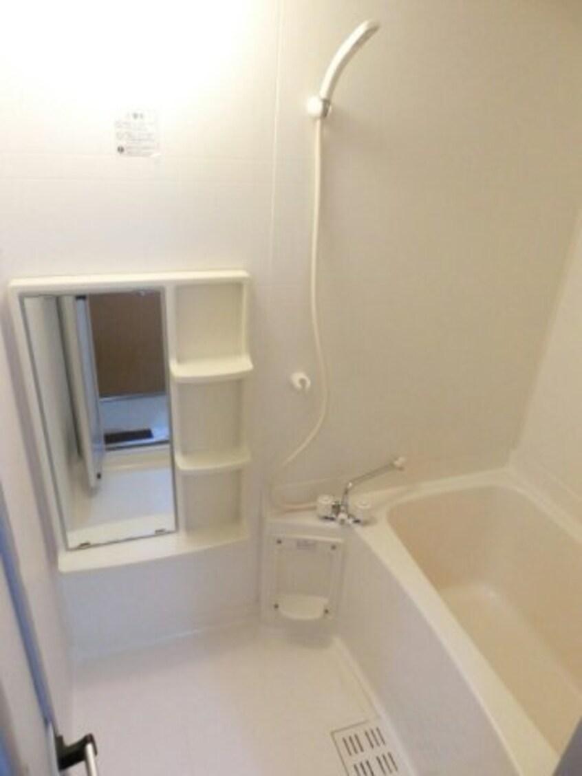  メープルピュア