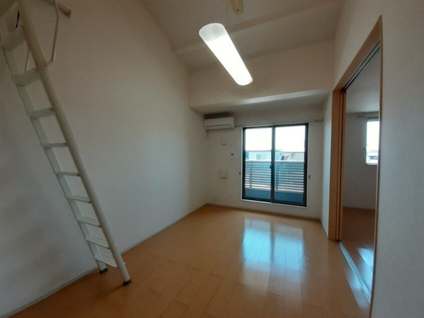  プラシード・Ｔ