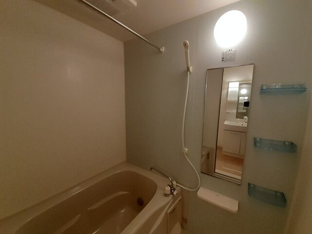  プラシード・Ｔ