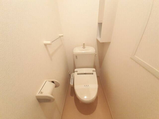  プラシード・Ｔ