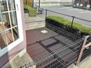  ウィスタリア
